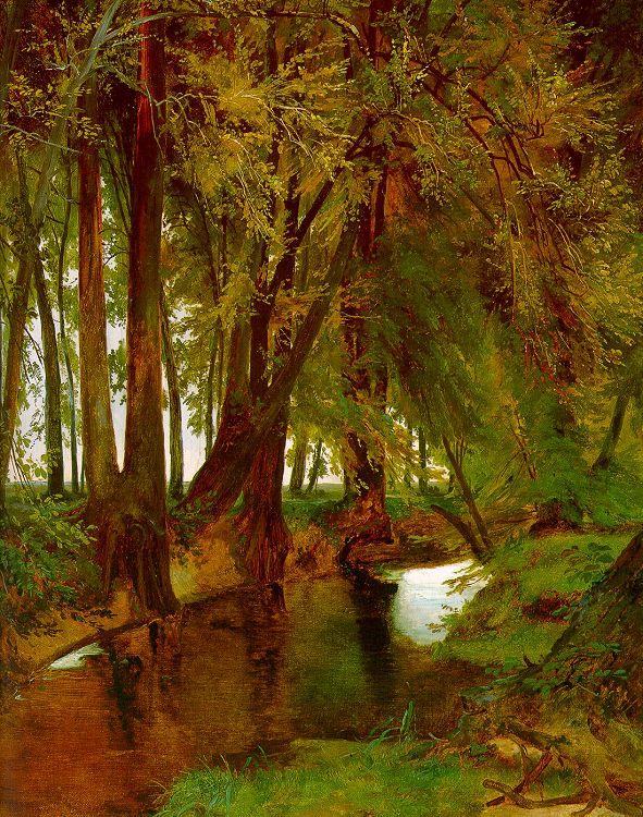 Charles Blechen Woodland with Brook Sweden oil painting art